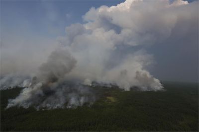 Информация о лесных пожарах в Российской Федерации за 12 июня 2021 года - новости экологии на ECOportal