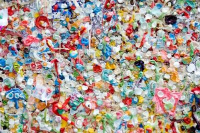 Пластиковые отходы превратили в ванилин - новости экологии на ECOportal