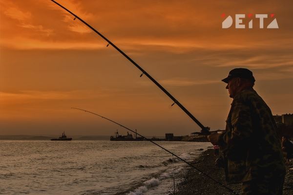 Простым смертным запретят ловить морских гадов в Приморье