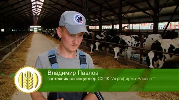 Коровы-долгожители как гордость зоотехника-селекционера Павлова