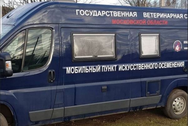 Мобильные пункты искусственного осеменения КРС работают по всей Московской области