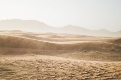 Опустынивание и засухи подрывают благосостояние 3,2 млрд человек  - новости экологии на ECOportal