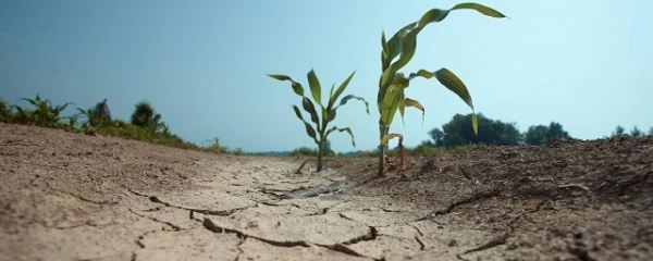 В Волгоградской области создан центр по борьбе с опустыниванием